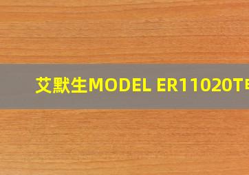 艾默生MODEL ER11020T电源